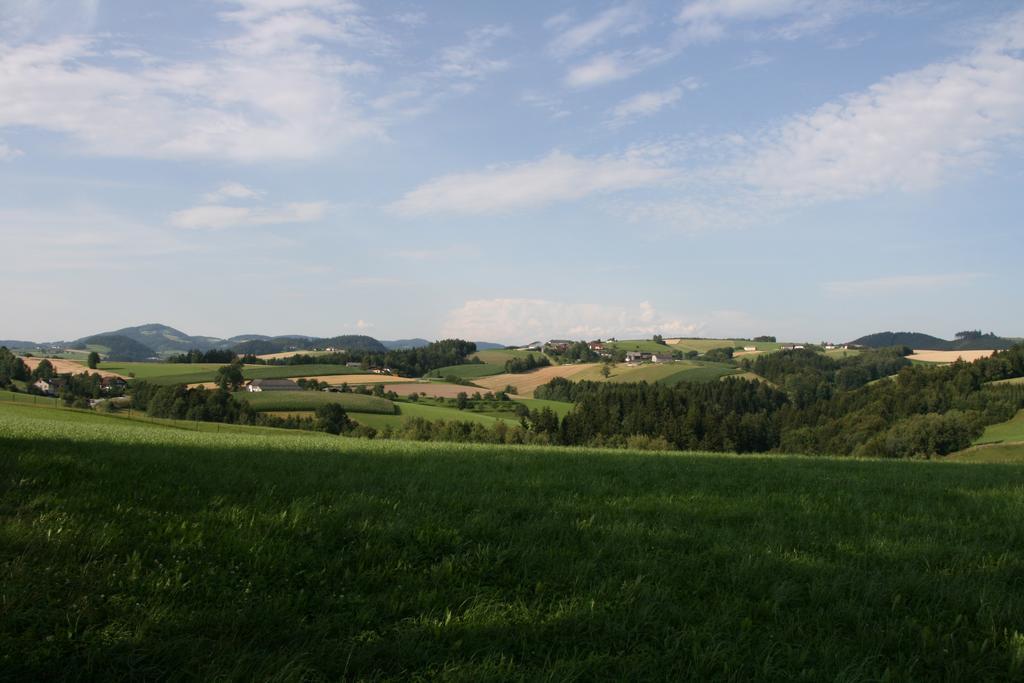Kreuzen  Kirchenwirt Inn מראה חיצוני תמונה